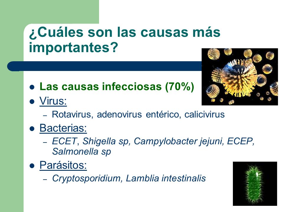 principales causas de rotavirus